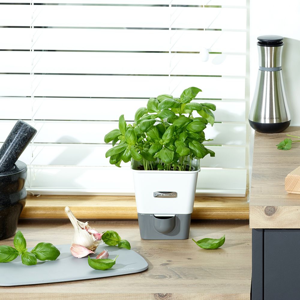 COLE & MASON - Self-Watering Single Potted Herb Keeper