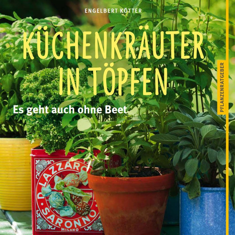 Küchenkräuter in Töpfen
