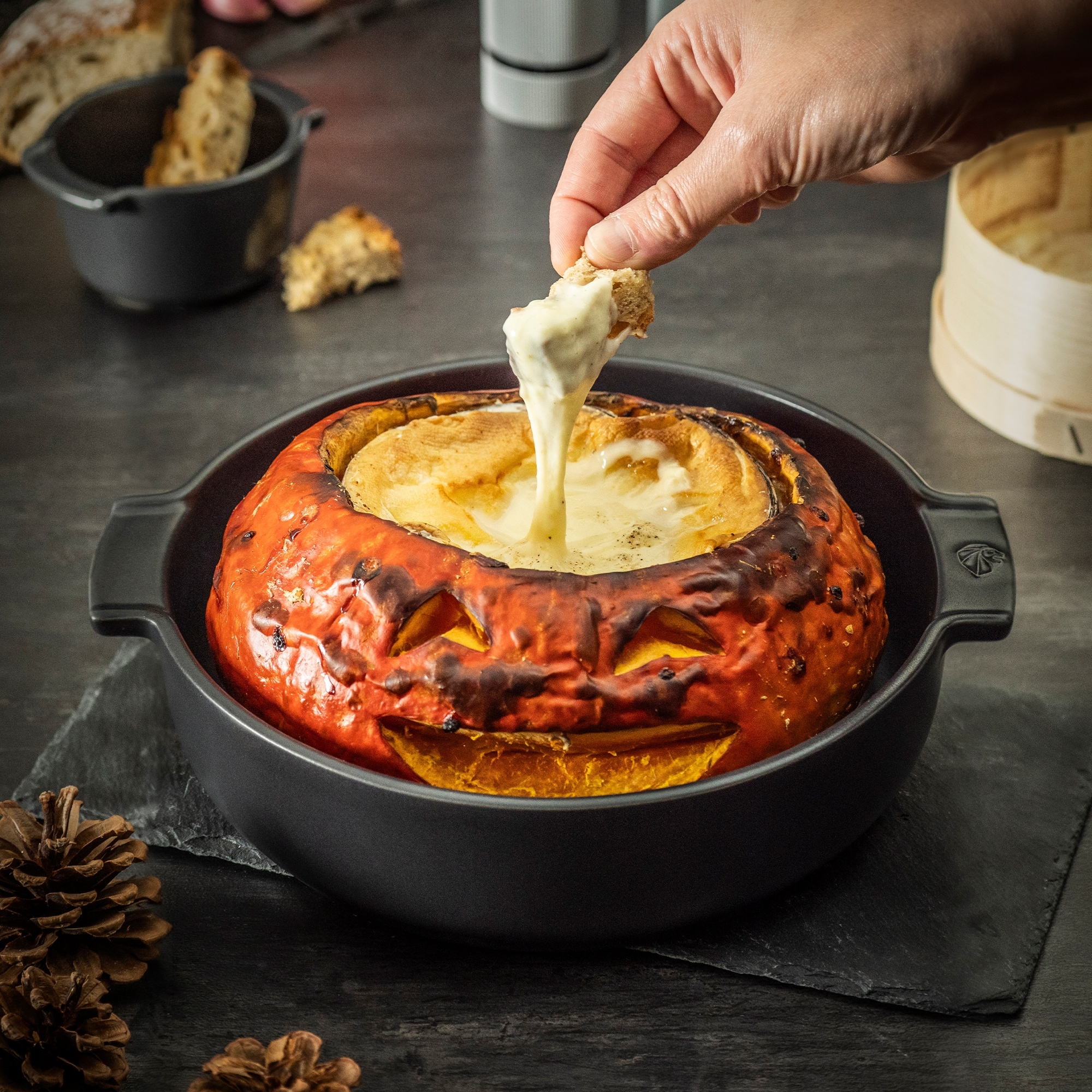 Peugeot Appolia - Runde Auflaufform Peugeot Appolia - Runde Auflaufform