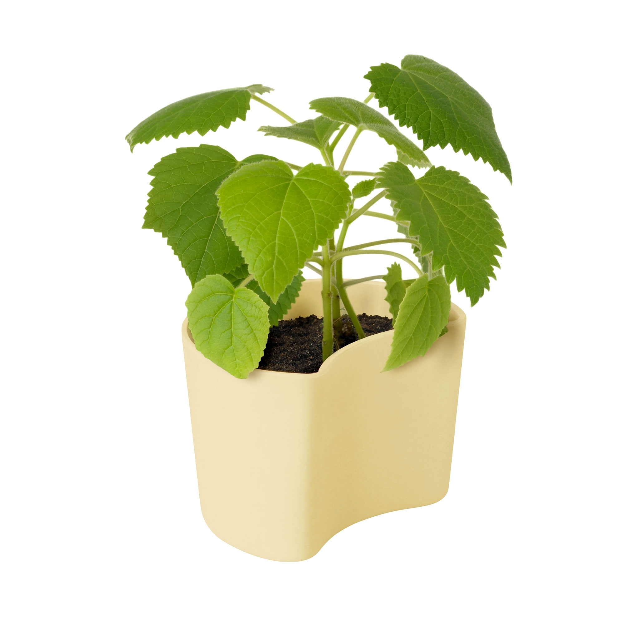 RIG-TIG - Plant pot - yellow