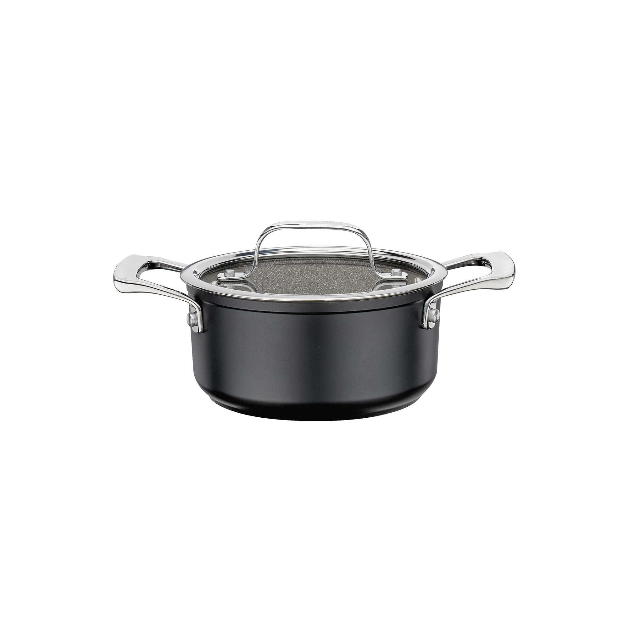 Spring - Roasting pan with glass lid - MERIDIAN INTENSE PRO - 16 cm