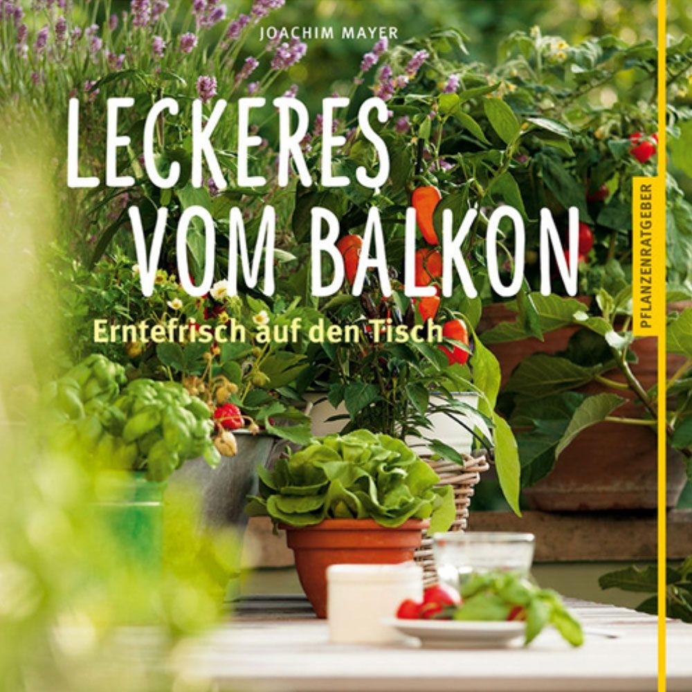 Leckeres vom Balkon