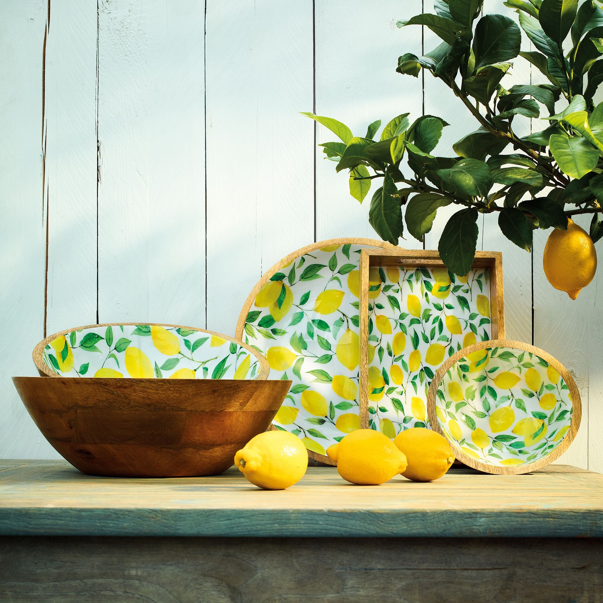 Zassenhaus - Tray Mango - Lemon