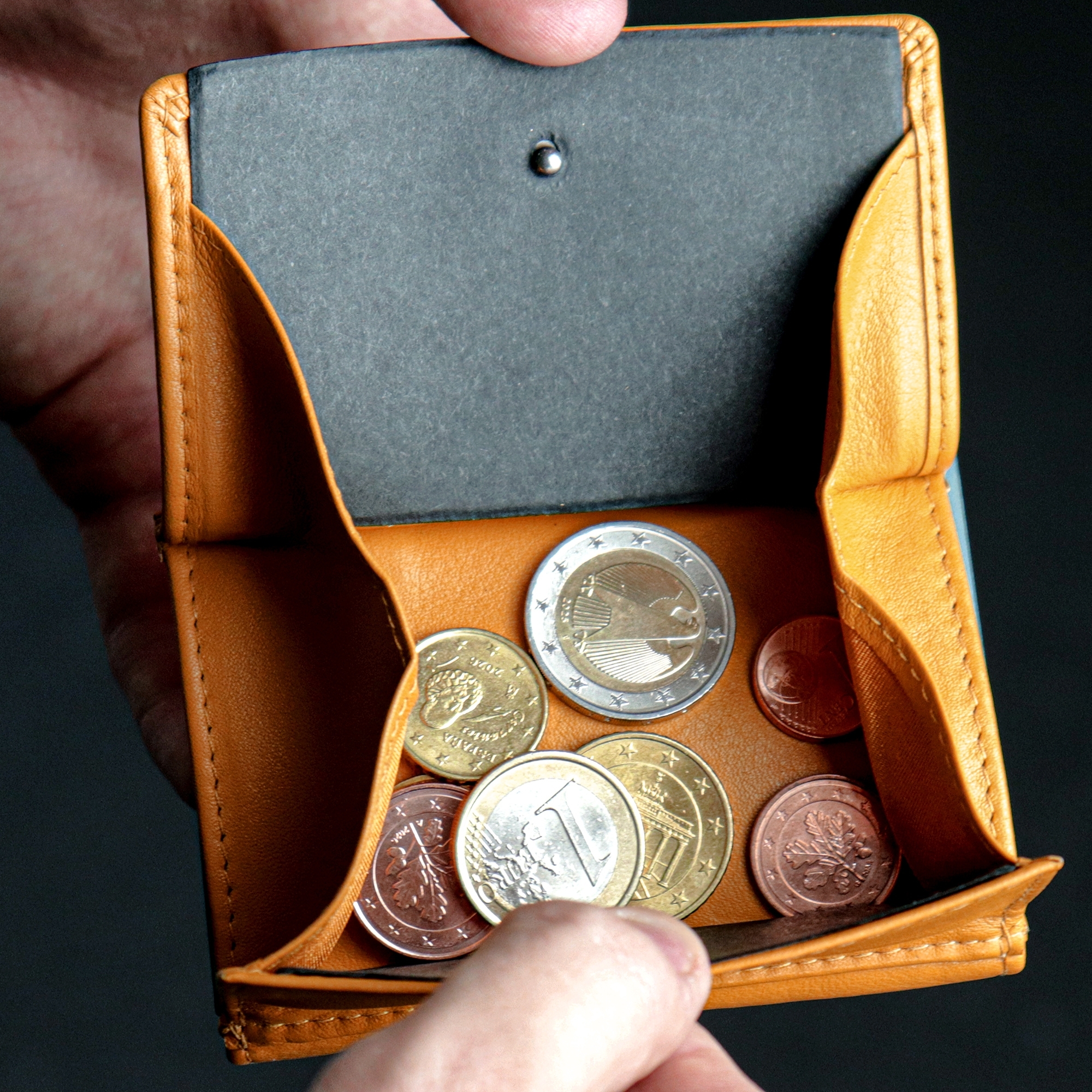Card Case with Coin Pocket  XXL - Yellow | Culinaris