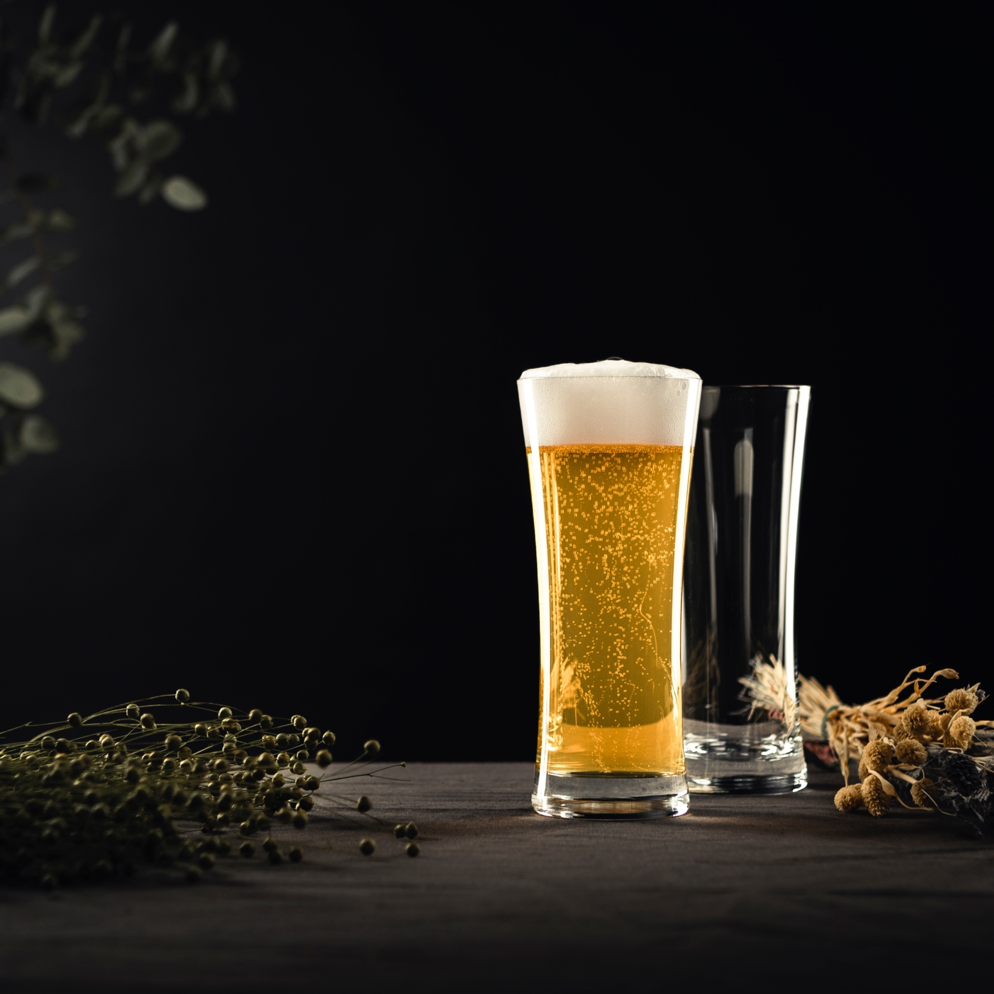 Schott Zwiesel - Lagerbierglas 0,5l