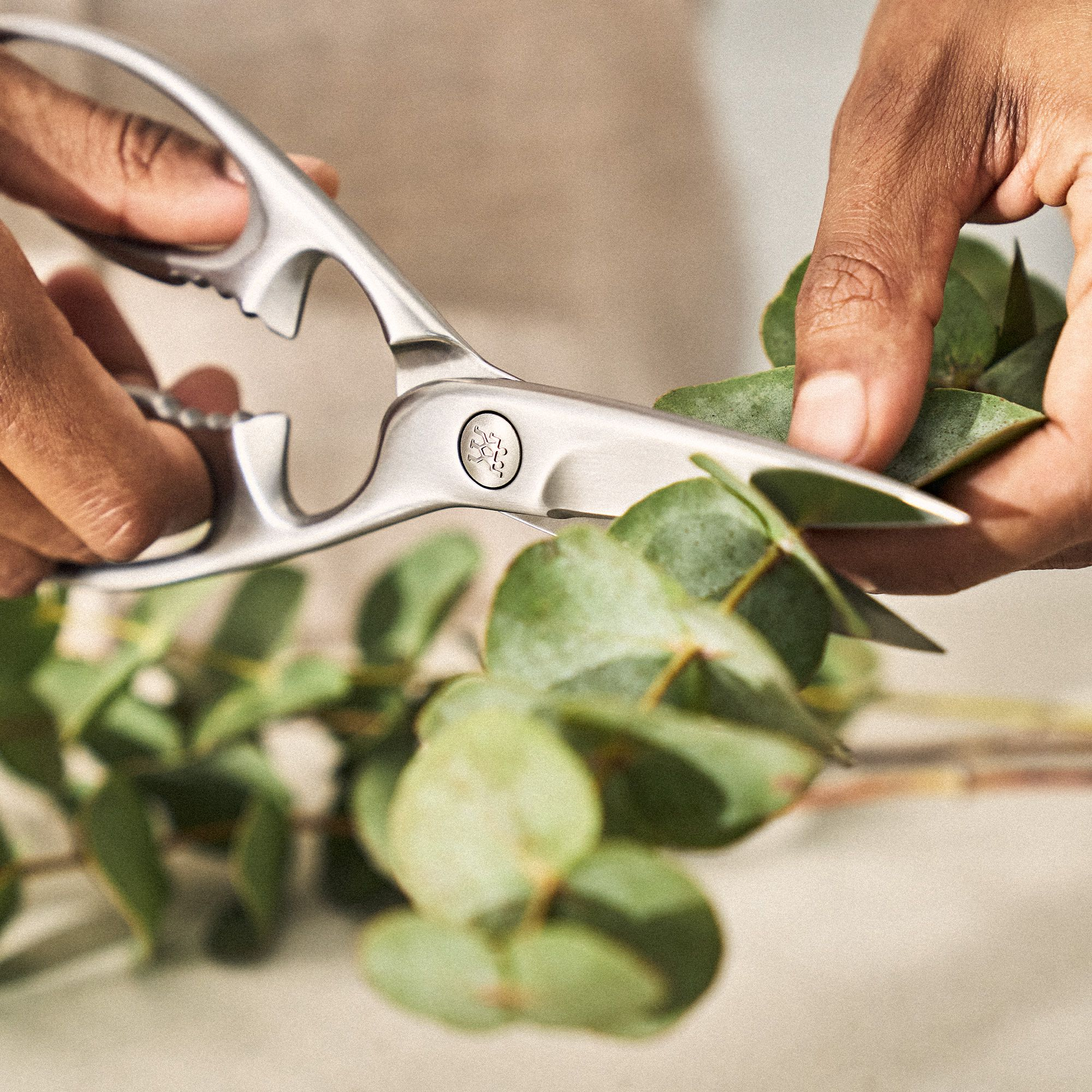 ZWILLING - Vielzweckschere | TWIN SELECT | 20 cm