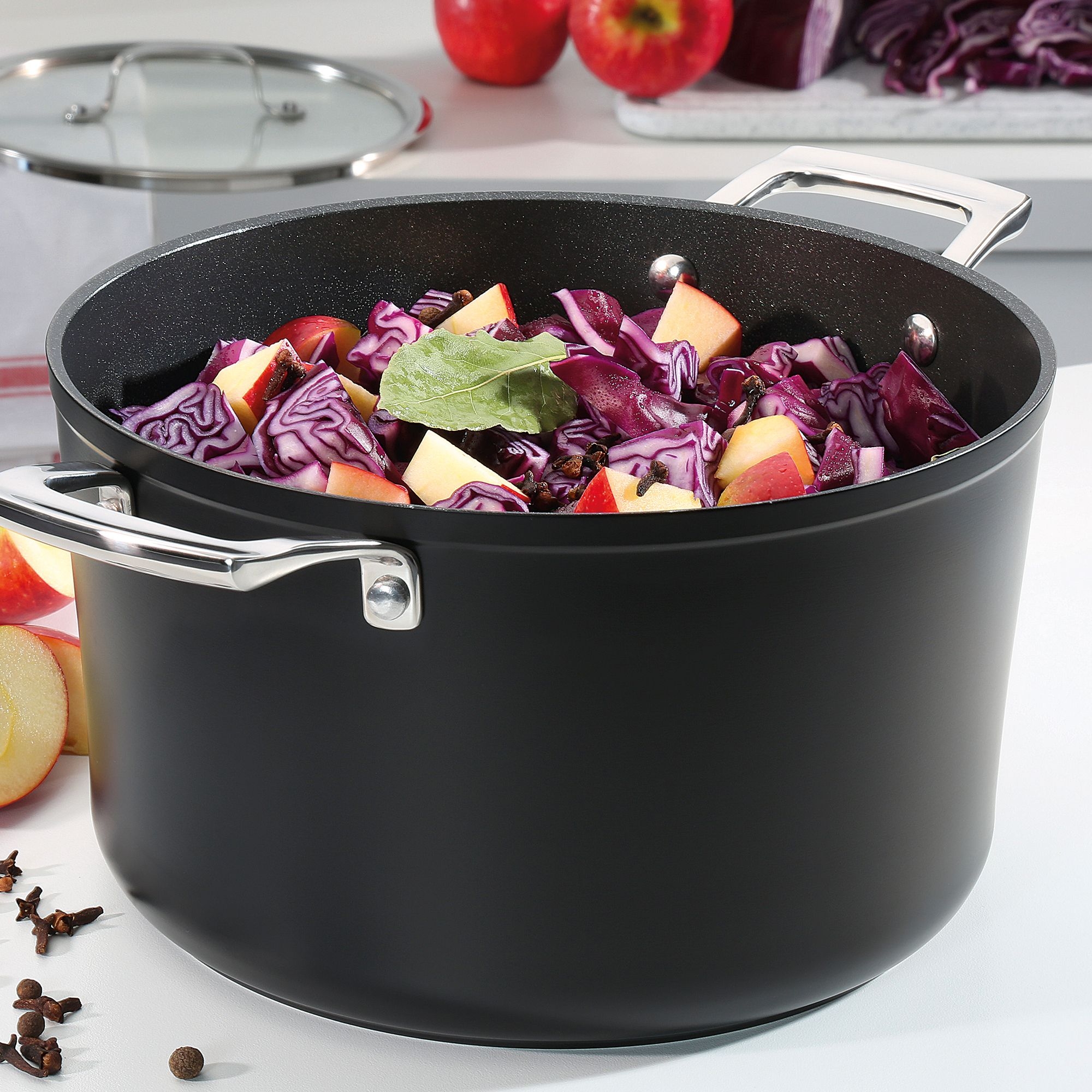 Spring - Roasting pan with glass lid - MERIDIAN INTENSE PRO - 16 cm