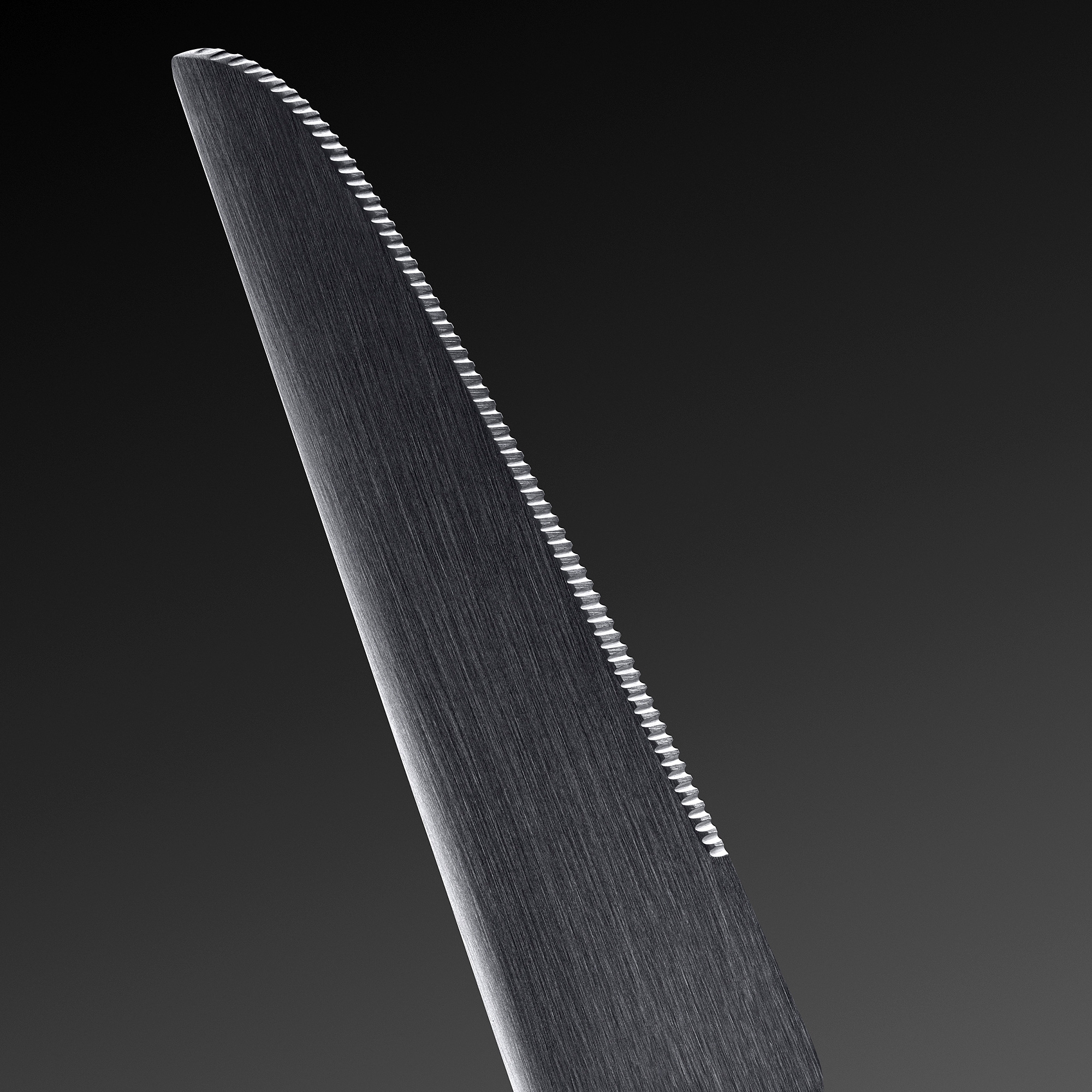 Detailansicht eines gezahnten Edelstahlmessers