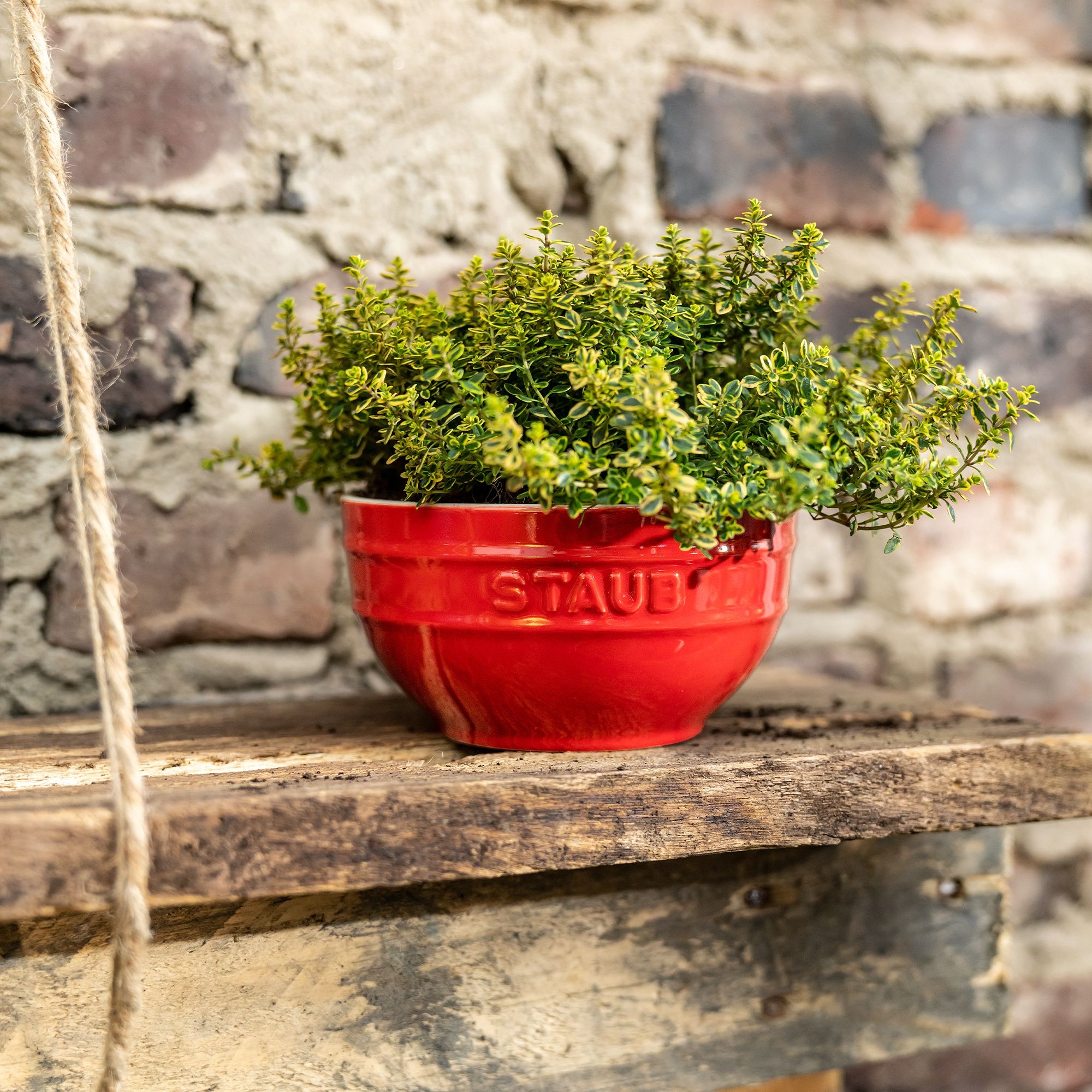 STAUB - Bowl | Ceramique | 14 cm | cherry red