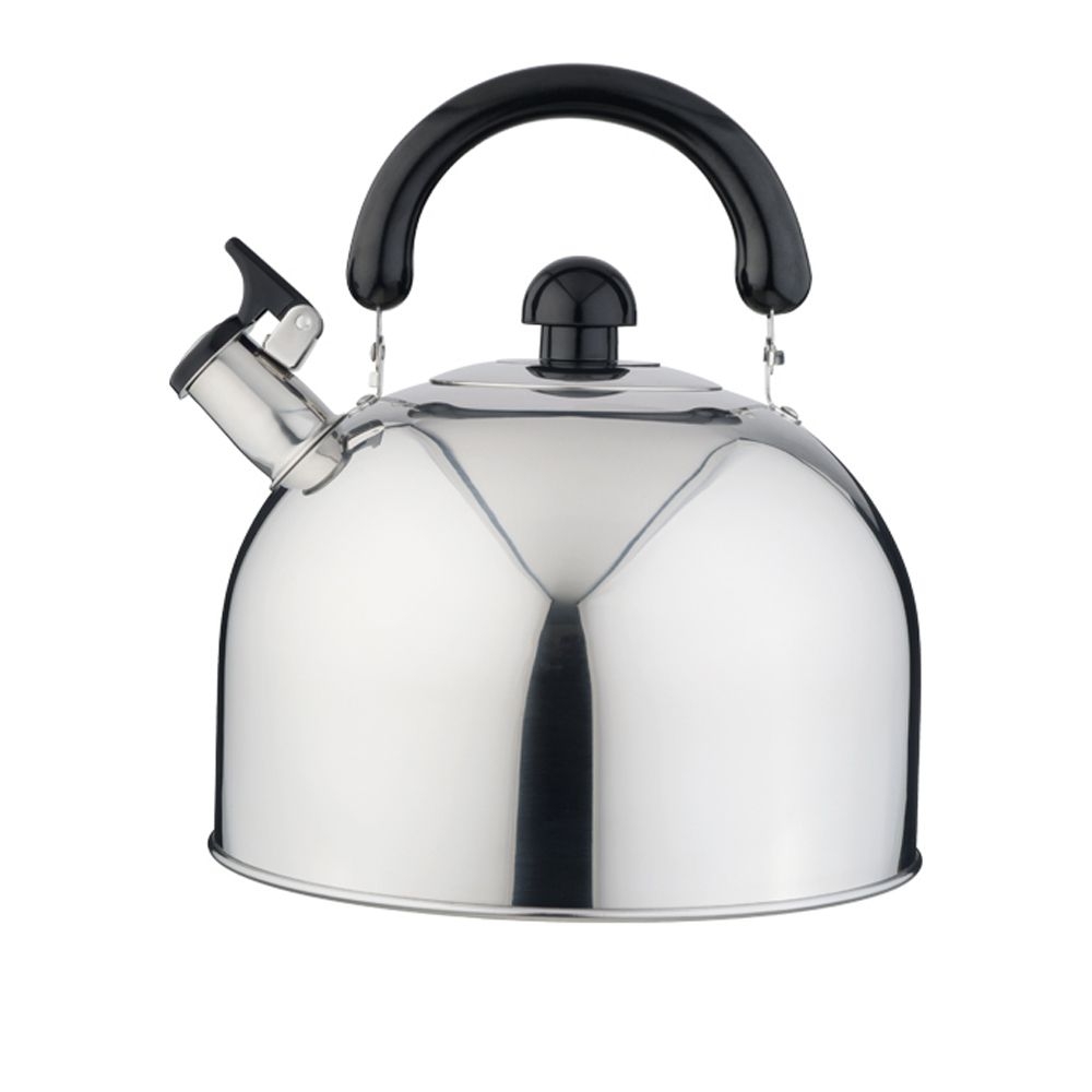 Silver stainless steel kettle with black handle