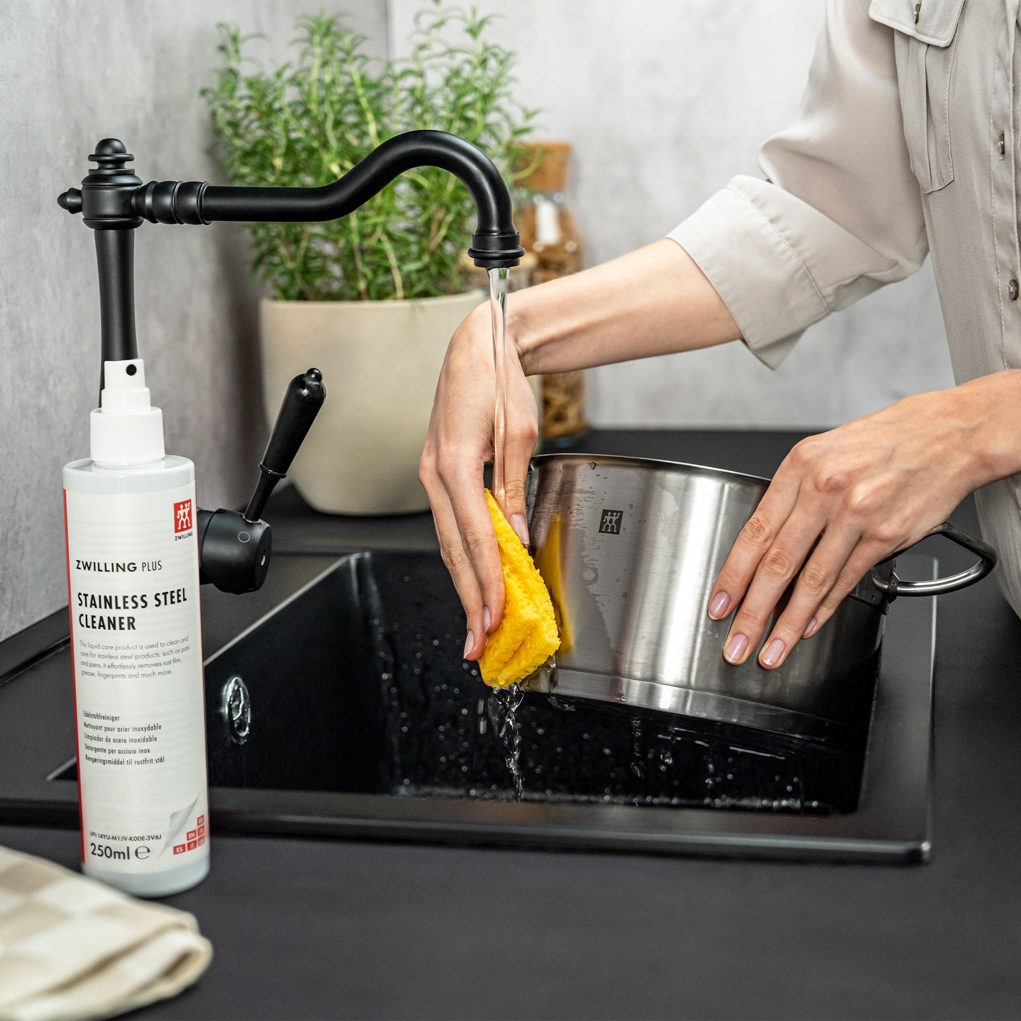 ZWILLING - Stainless Steel Cleaner | Plus | 250 ml