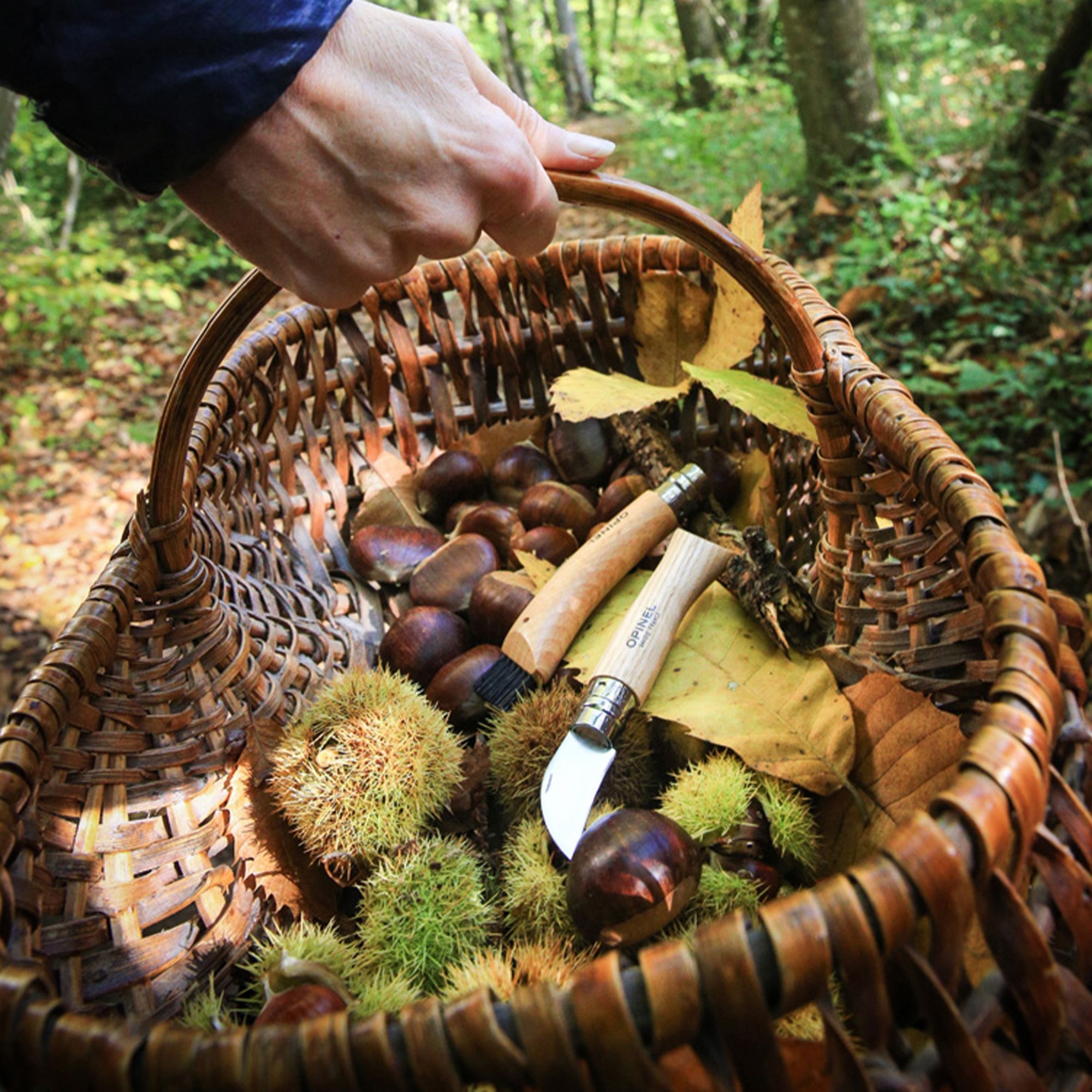 Opinel - Pilzmesser mit Bürste No 08 - 20 cm - natur