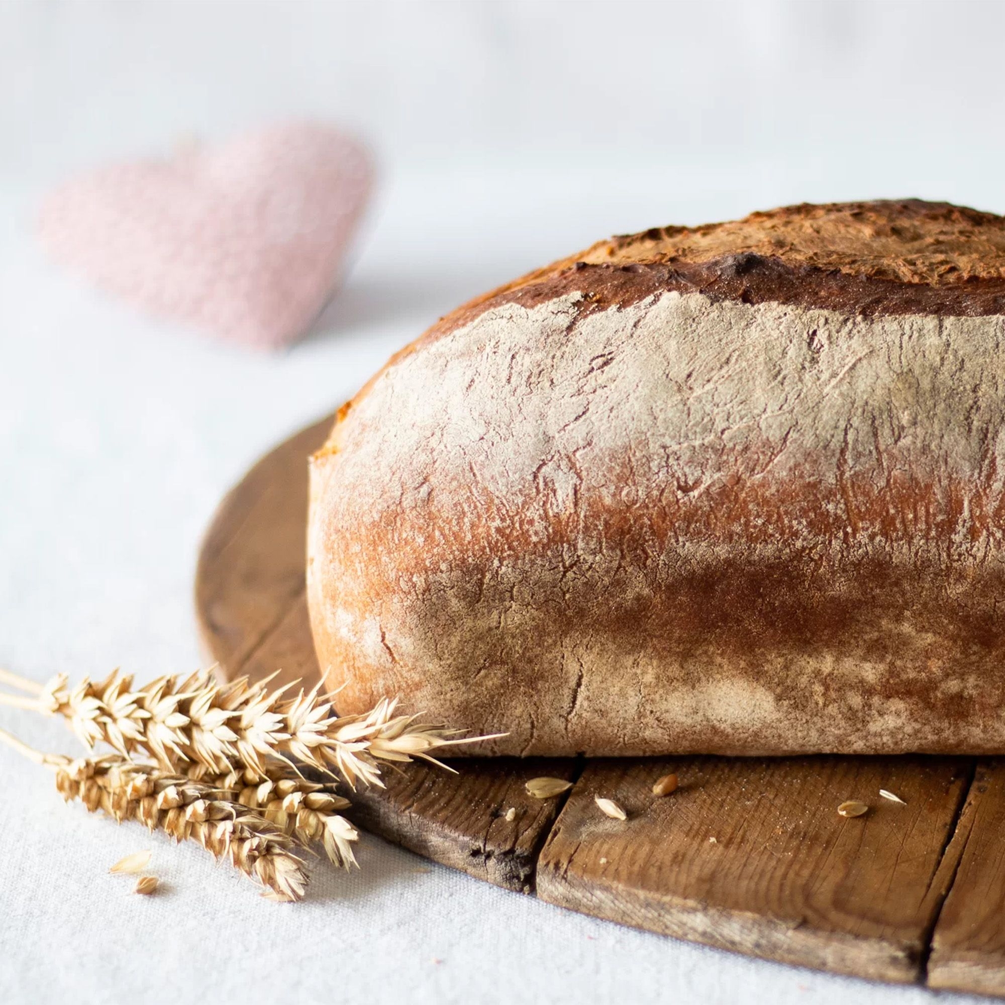 Frisch gebackenes Brot aus der Städter Black Edition Brotfor