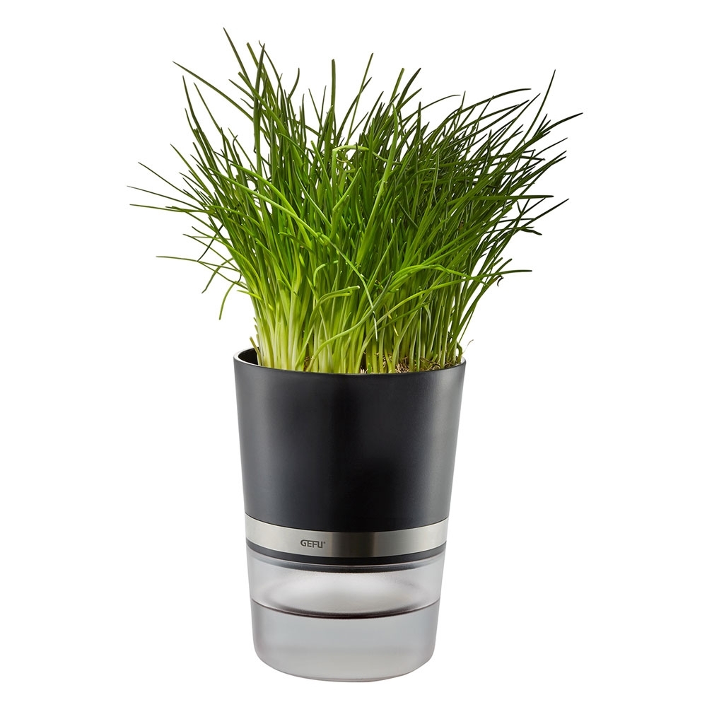 Gefu - Herbal Pot BOTANICO black Gefu - Herbal Pot BOTANICO black