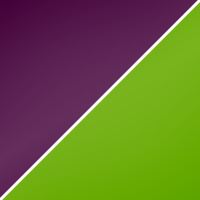 Violet/Lime