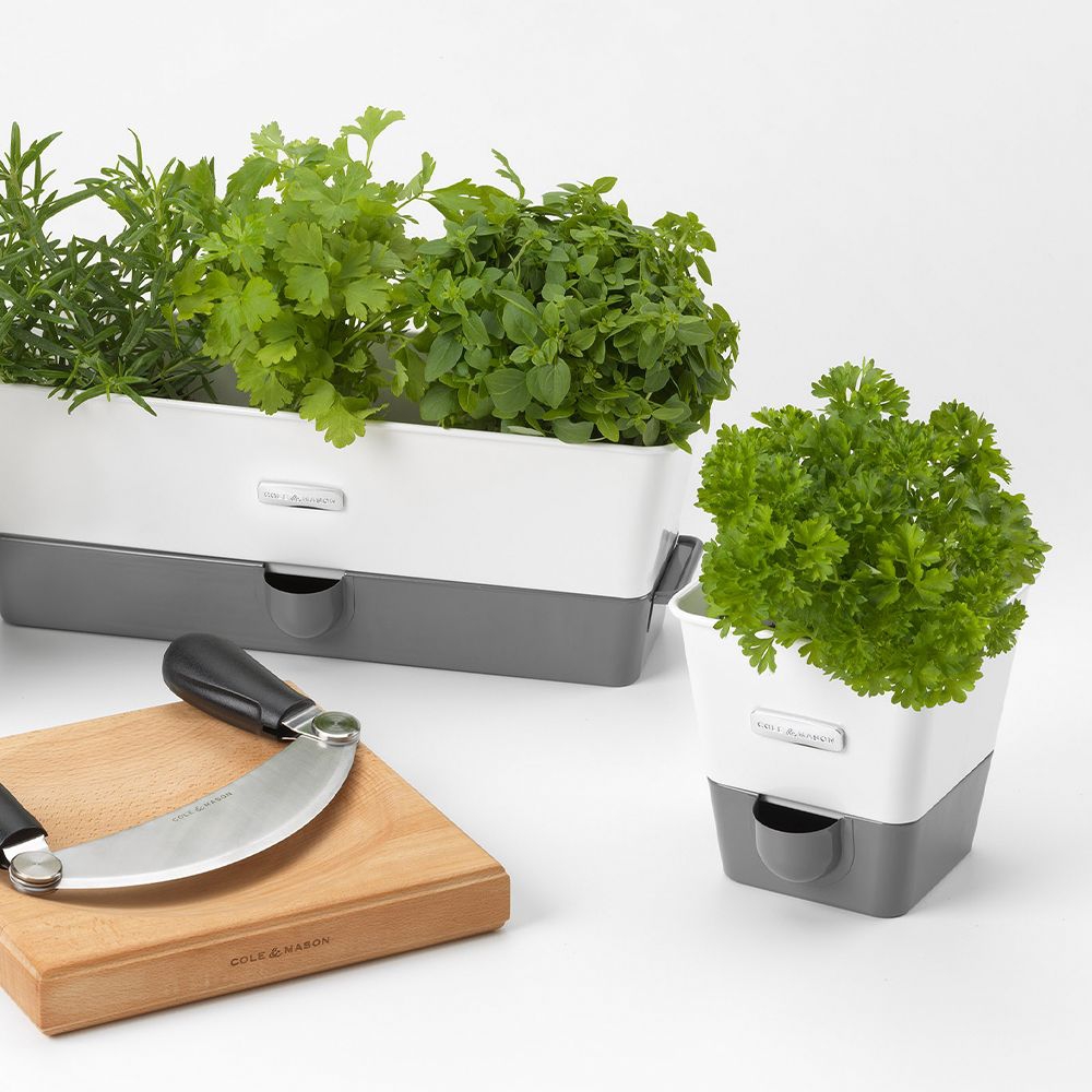 COLE & MASON - Self-Watering Single Potted Herb Keeper