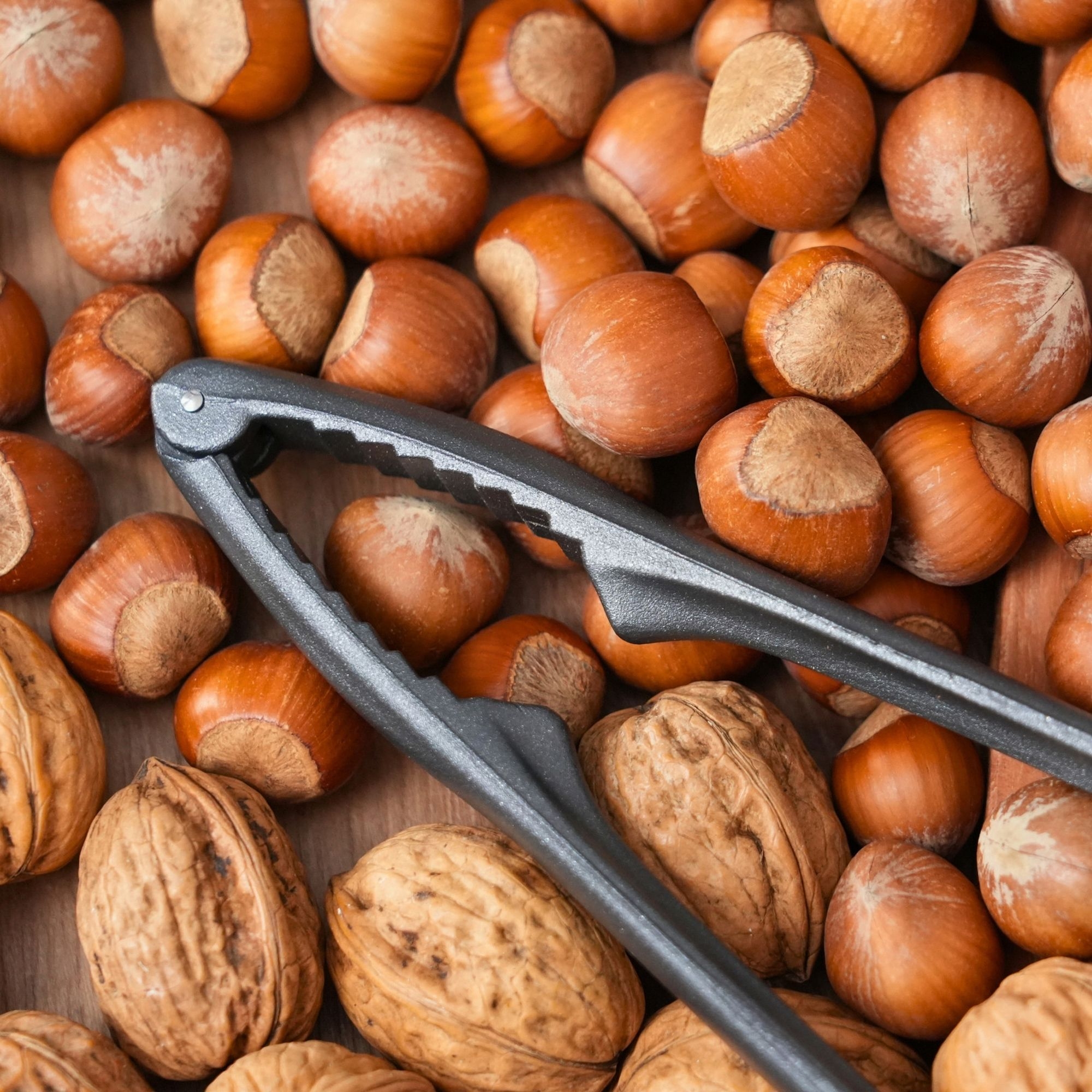 Westmark Herkules Black Edition nutcracker with nuts