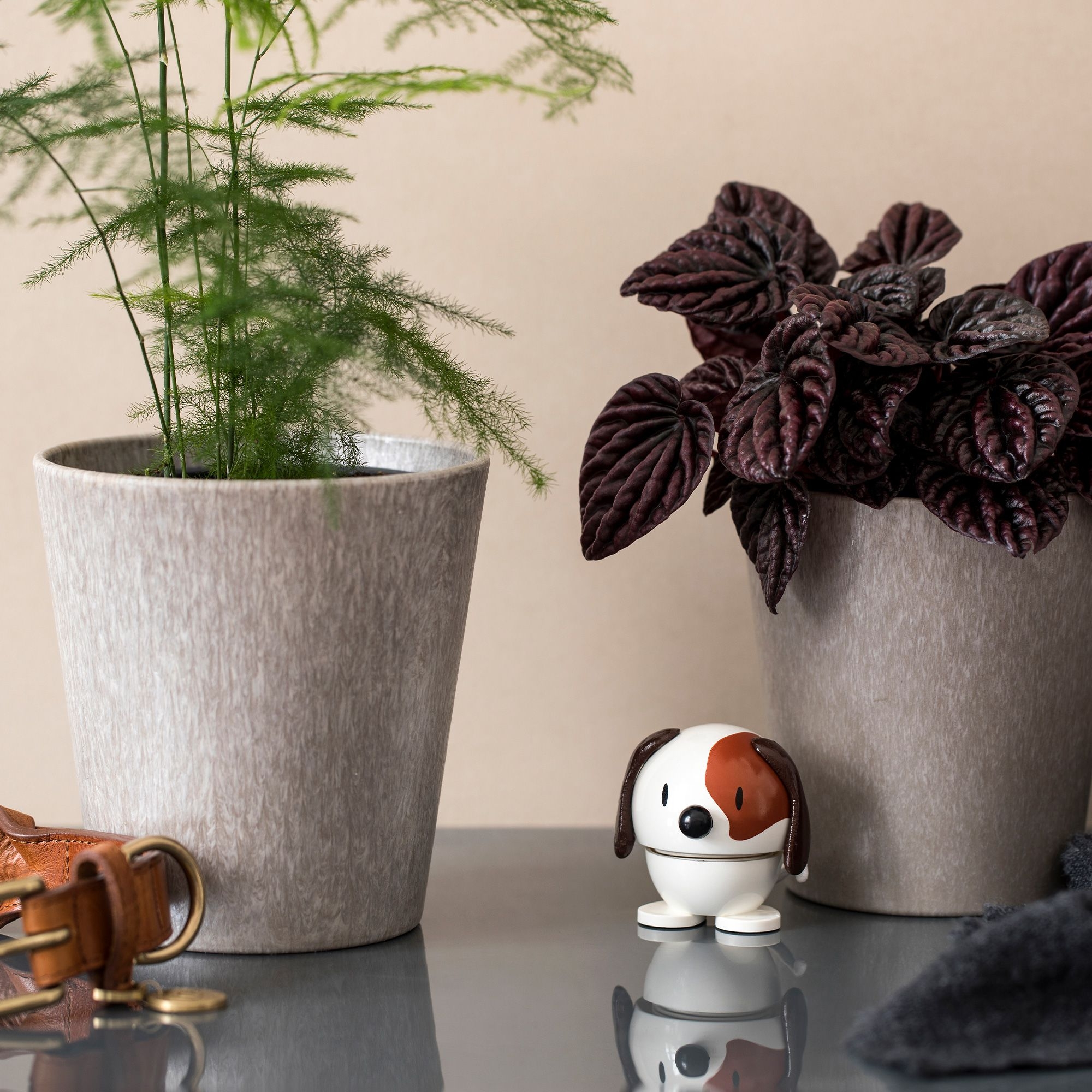 Hoptimist - Dog - White Hoptimist - Dog - White