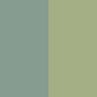 dark+lightgreen
