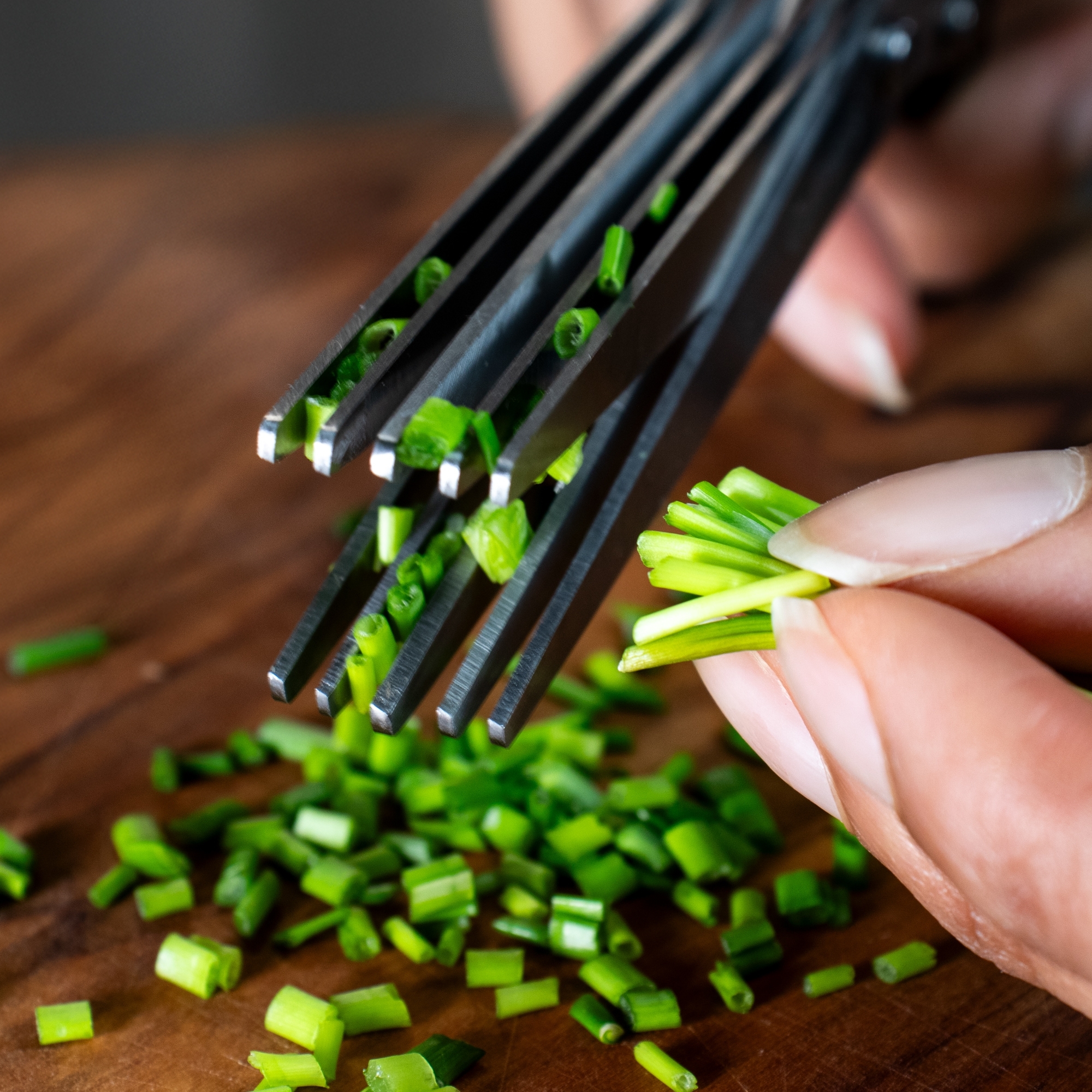 ERVASO herb scissors, 5 stainless blades, Culinaris