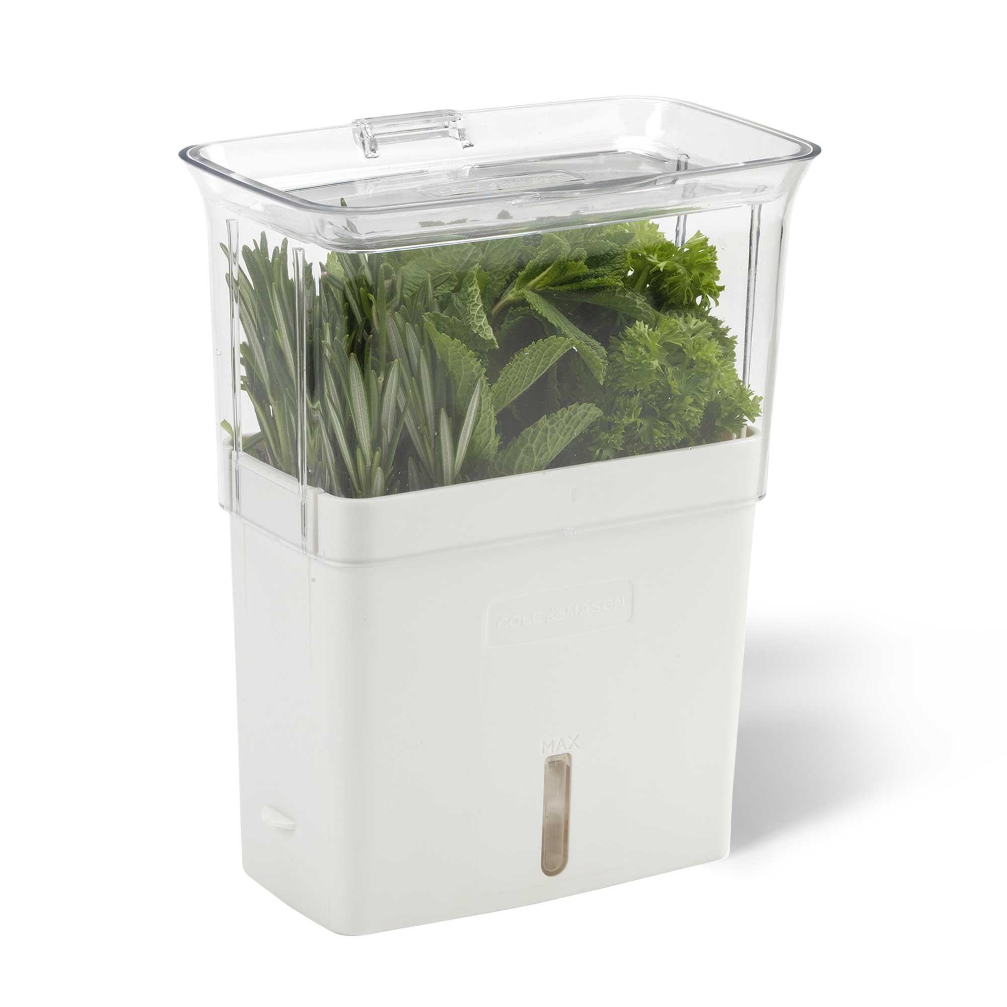 COLE & MASON - Tealby Herb Fresh Keeper