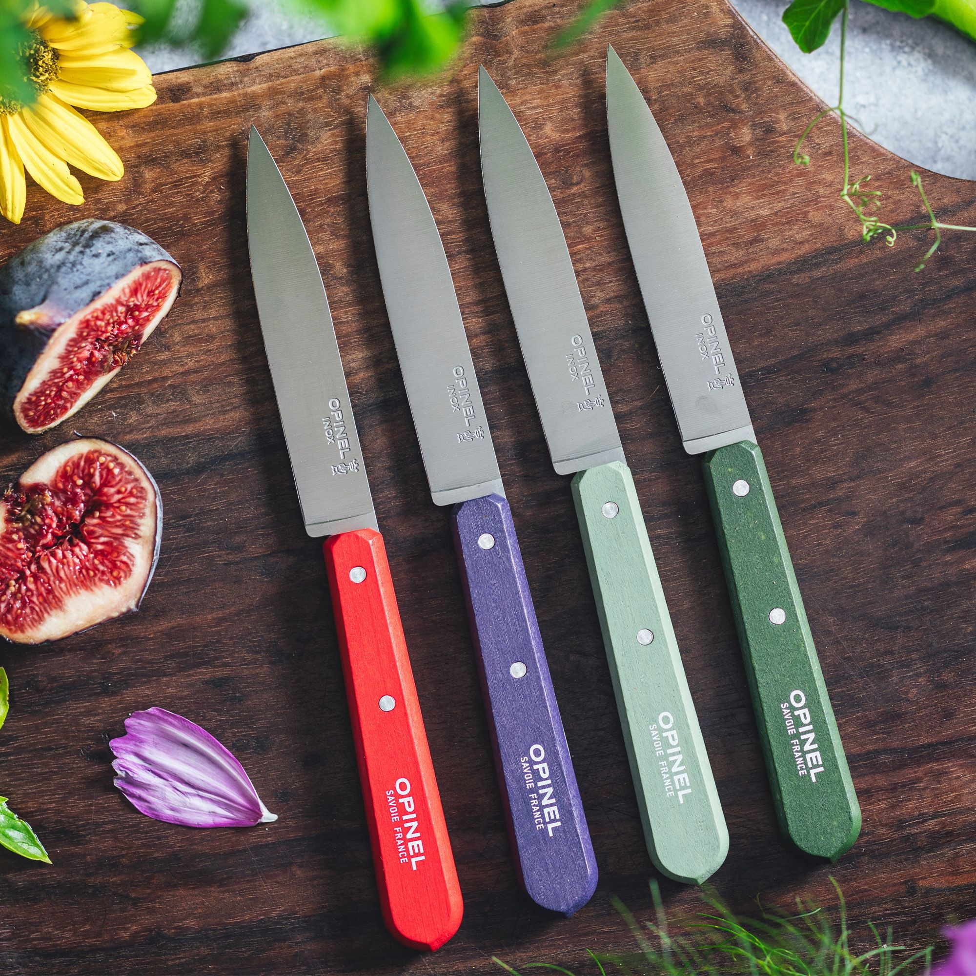 Opinel No 112 PAYSAGE vegetable knife set, 4 colourful pcs