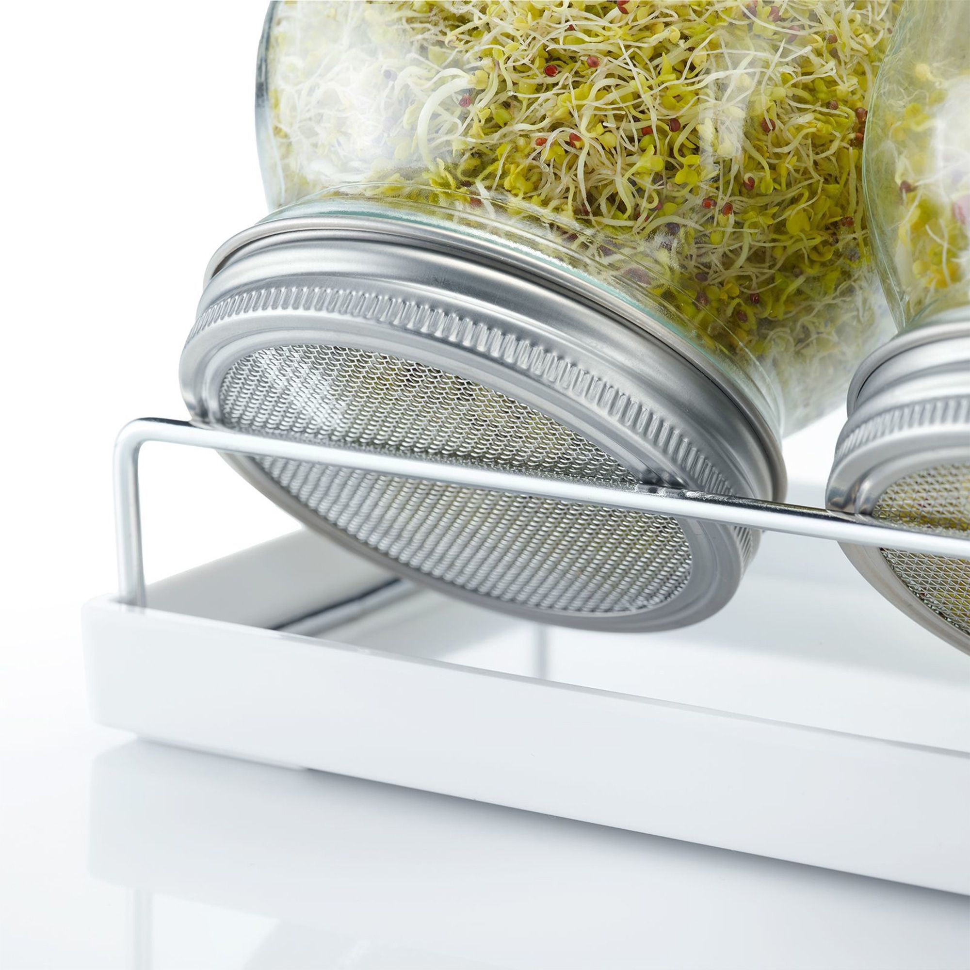 Westmark - Sprouting jar kit, 2 glasses, 950 ml