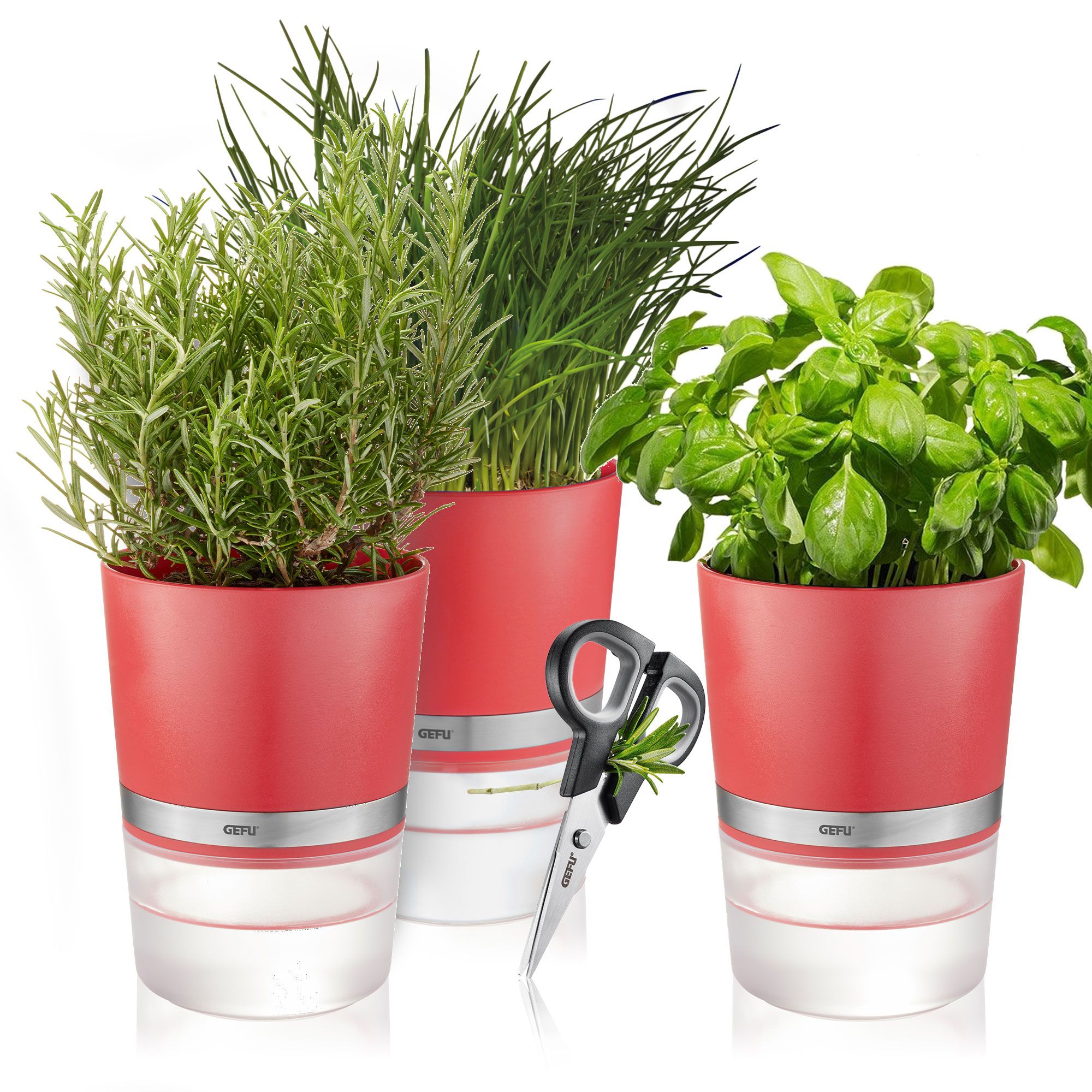 Gefu - 3 herb pots + herb scissors BOTANICO