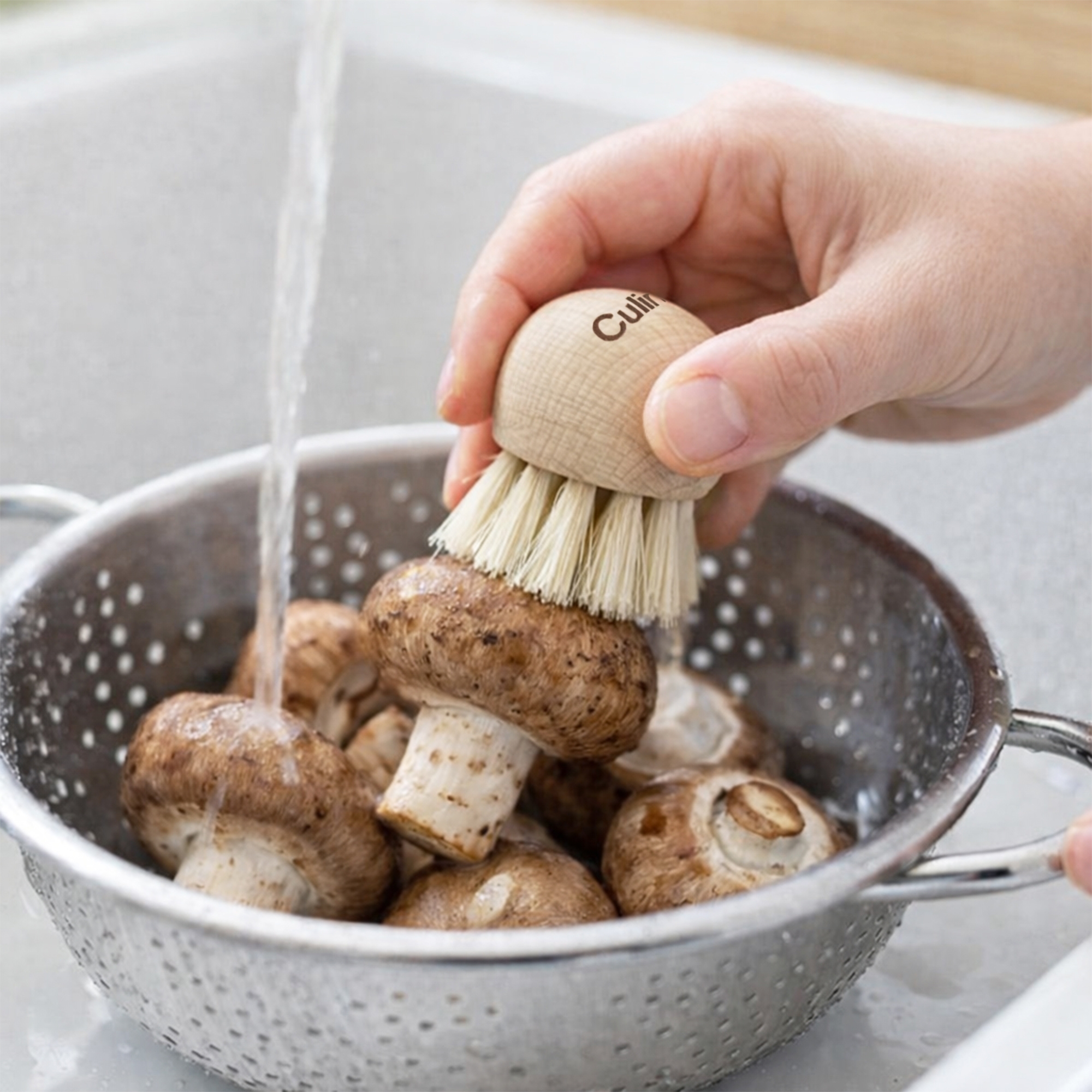 Culinaris beech wood mushroom brush cleaning mushrooms
