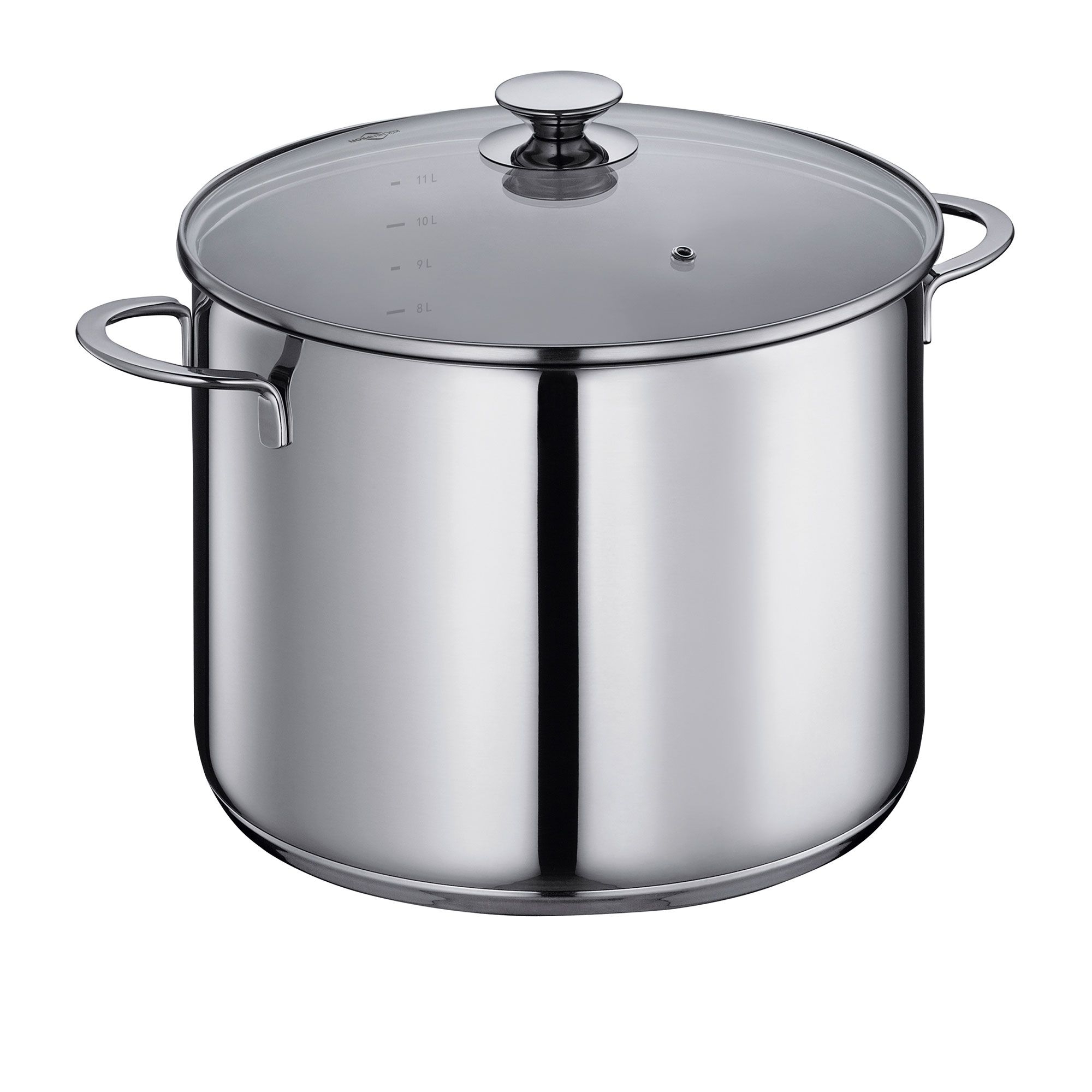 Large stainless steel cooking pot with glass lid