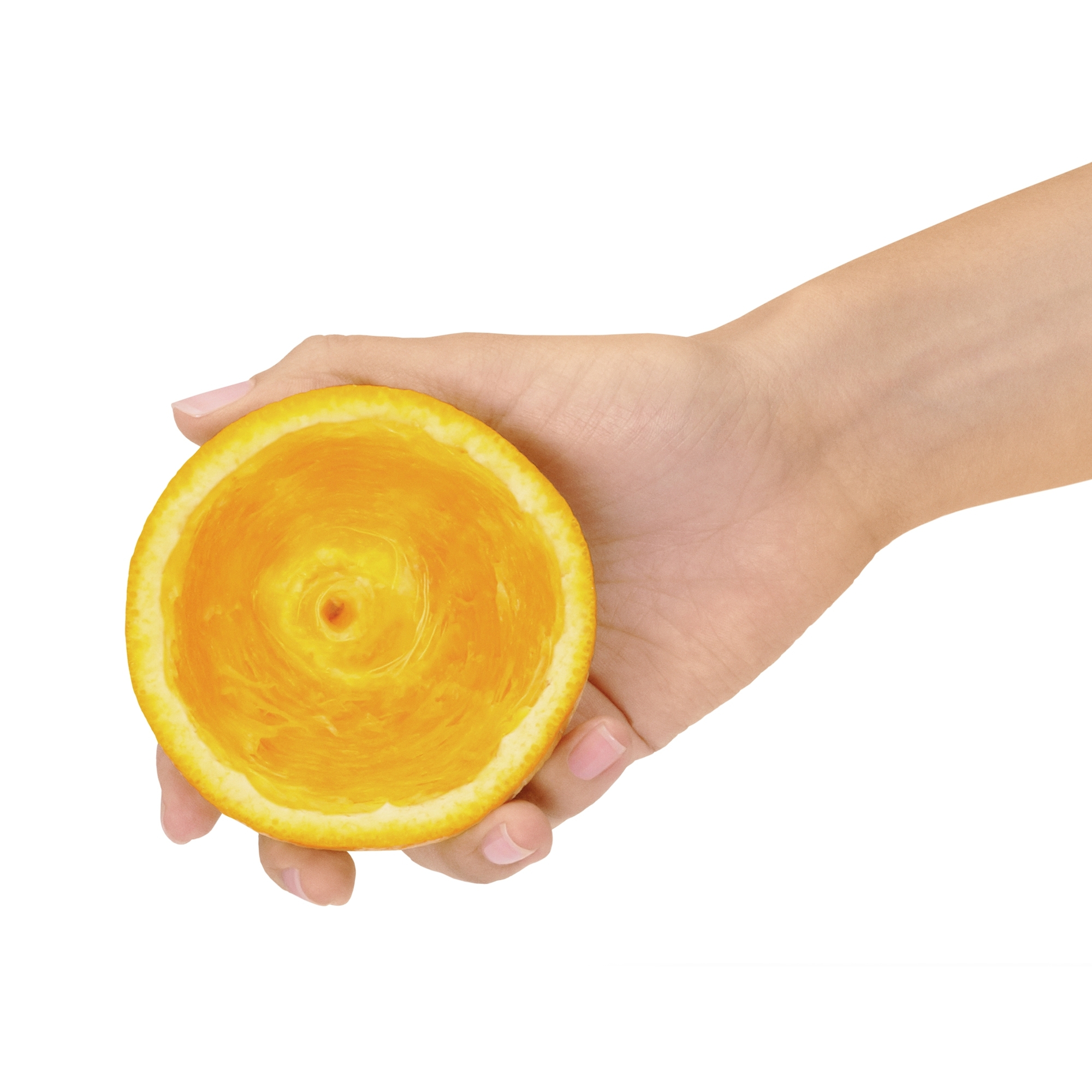 SAGE The Citrus Press Pro Zitruspresse